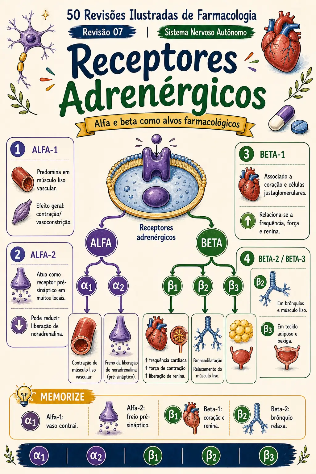 Prévia 4 do Farmacologia Ilustrada